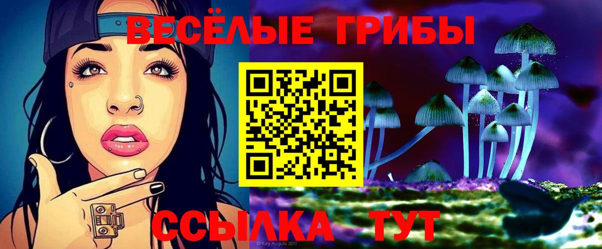 Орехово-Зуево  Галлюциногенные грибы мицелий  Вход с VPN  Галлюциногенные грибы Magic Shrooms 