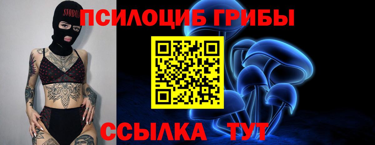 Галлюциногенные грибы GOLDEN TEACHER Орехово-Зуево